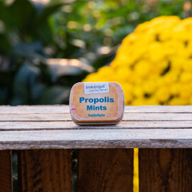 Propolis-Mints 50 Stück/Dose
